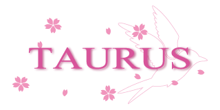 株式会社TAURUSロゴ画像